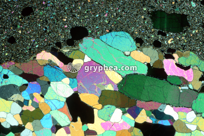 Péridotite LPA x1,5 - gryphea.com